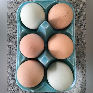 ANTHROPOLOGIE biscuit HALF-DOZEN 6 EGG CRATE TURQUOISE Blue STONEWARE #25442534